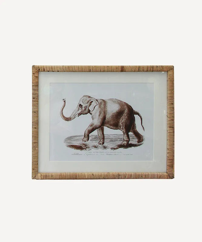 Animal Wall Art Elephant